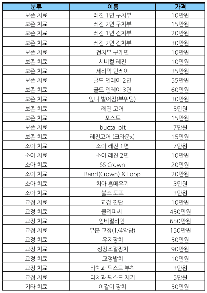비급여 수가표 2